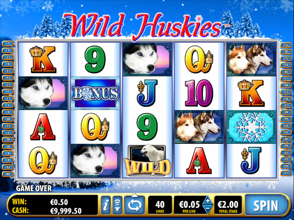 Игровой автомат Wild Huskies - щедрые бонусы и незабываемые выигрыши в казино Вулкан
